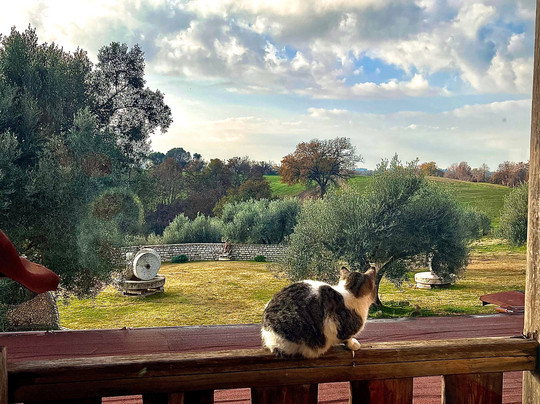 Agriturismo Poggio dei Cavalieri主图