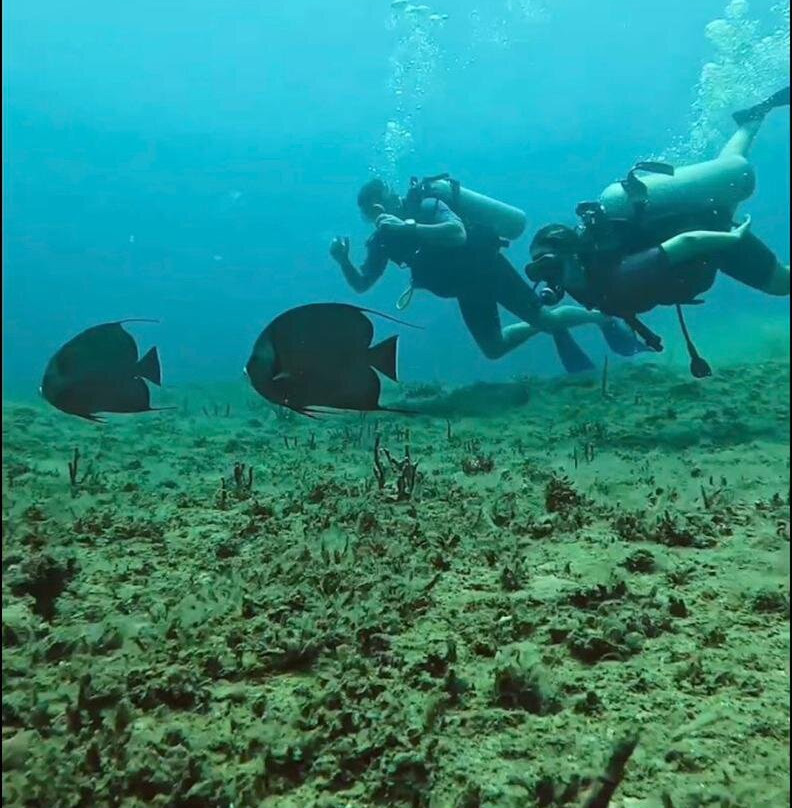Boipeba Mergulho - Scuba Diving Center-Morere必去景点