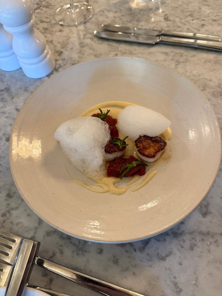 The Blue Pigeons-官方