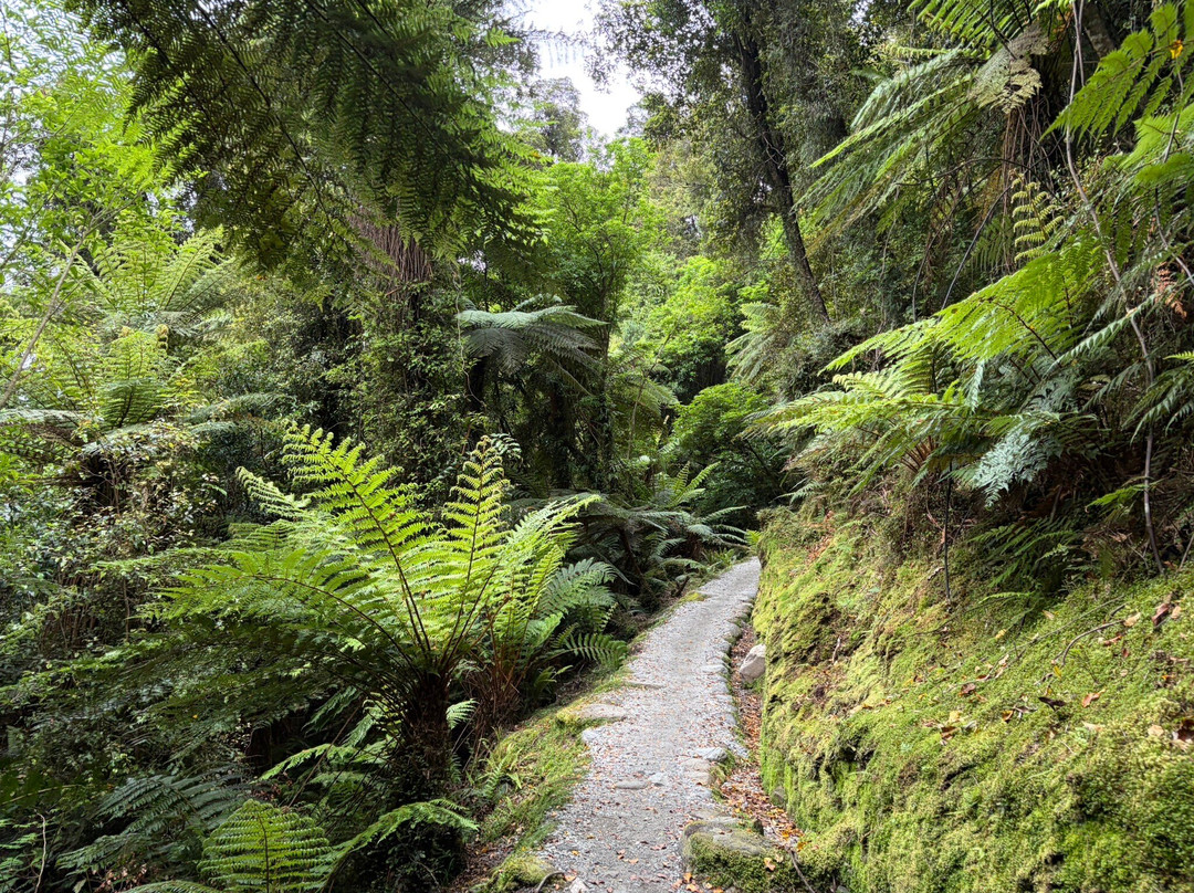 Callery Gorge Walk-弗朗茨约瑟夫（冰川）必去景点