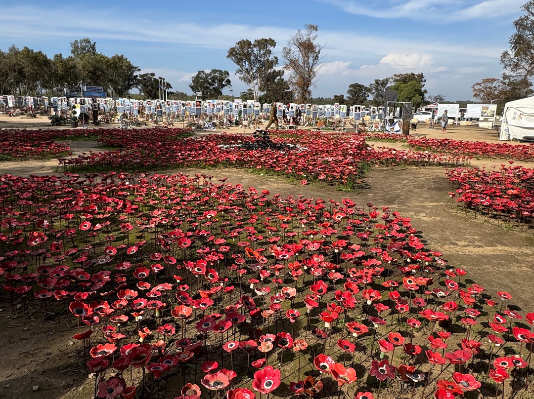 LET Travel-特拉维夫必去景点
