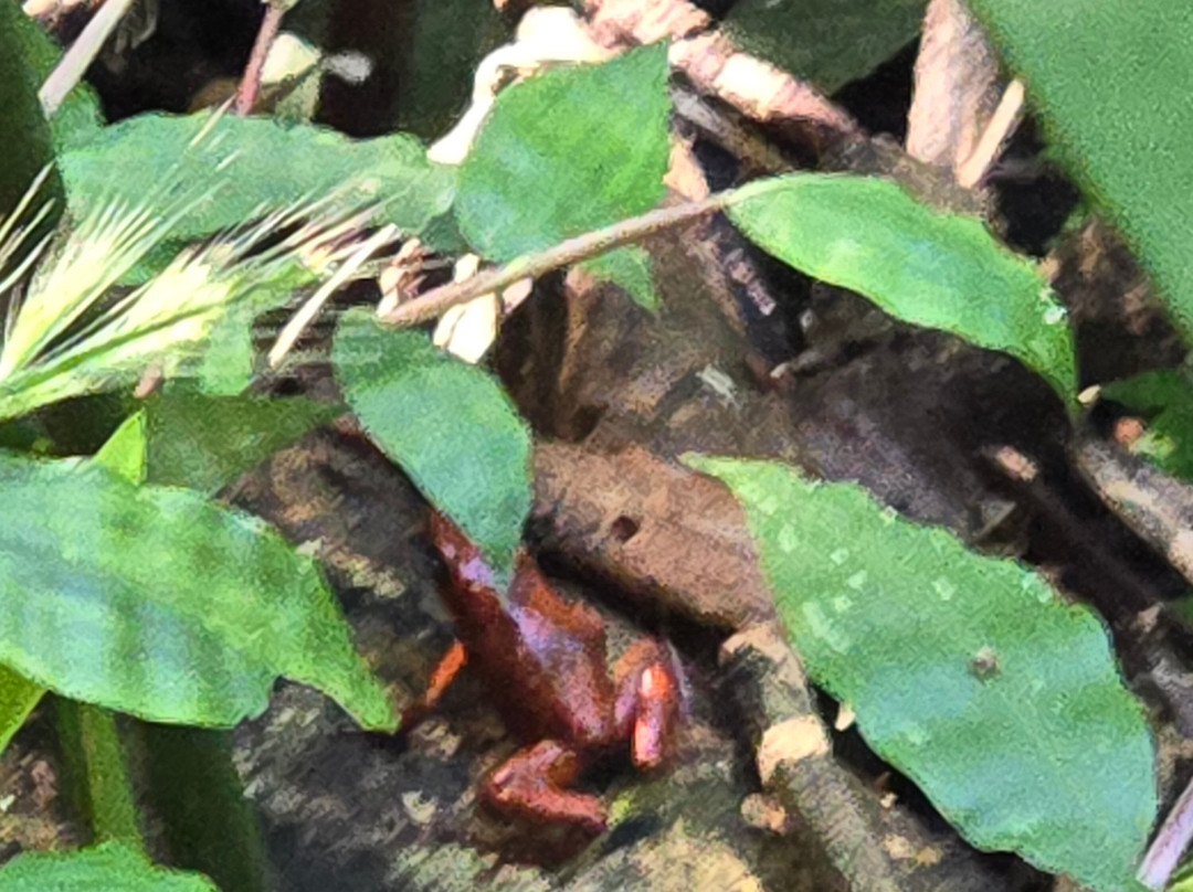 Abel Bustamante - Tour Guide-Manzanillo必去景点