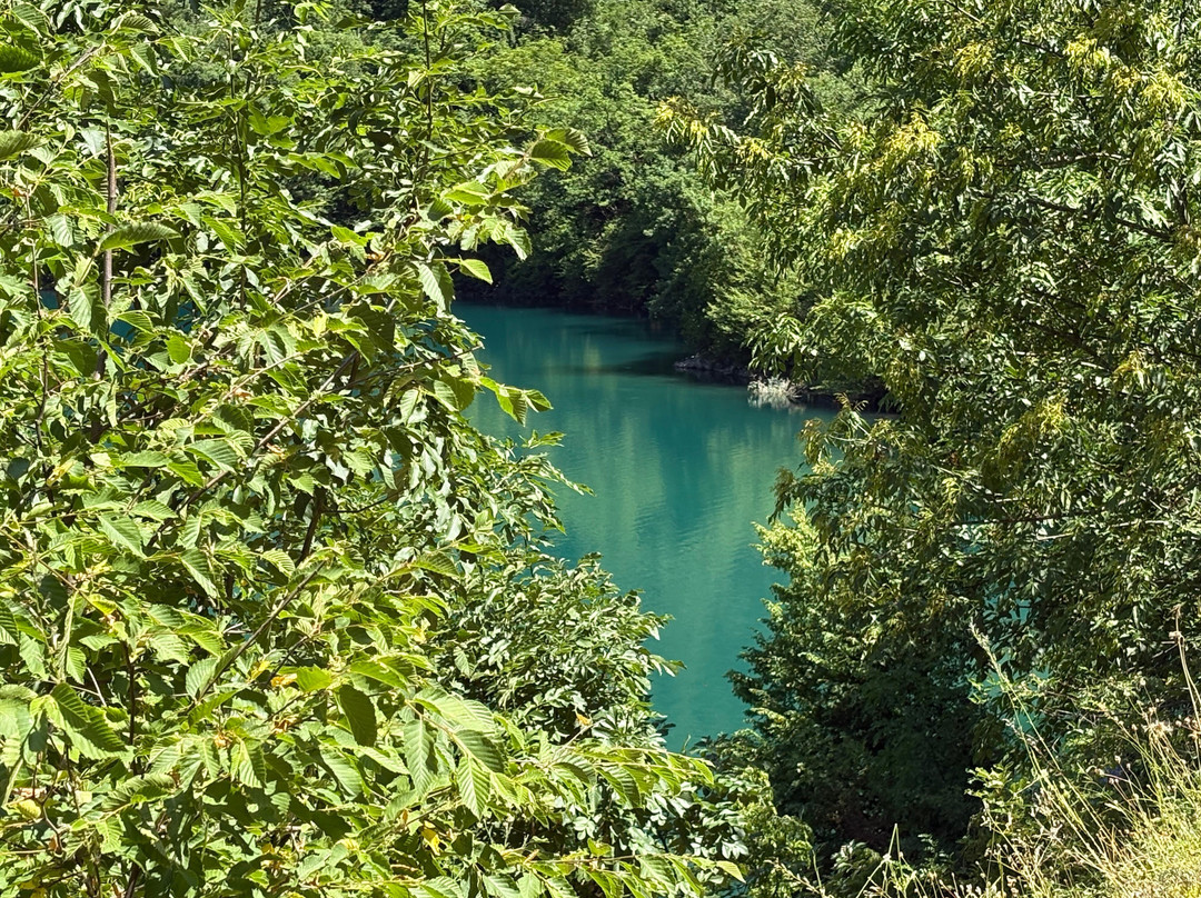 Irene's Healthy Life-Pallini必去景点