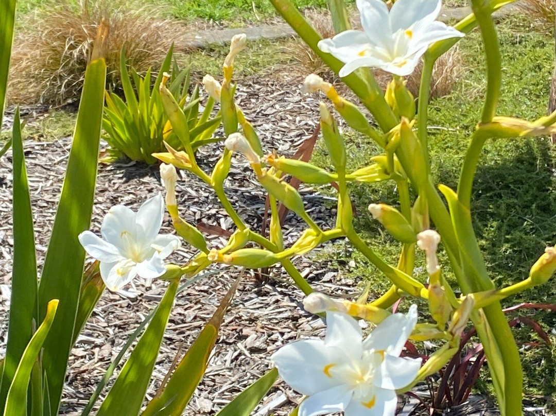 导航海滨度假村主图