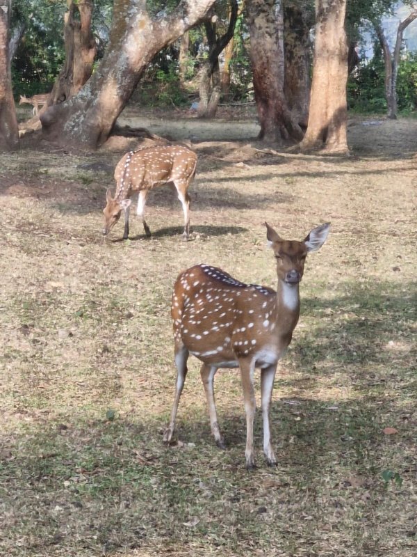 丛林小屋酒店-酒店景观