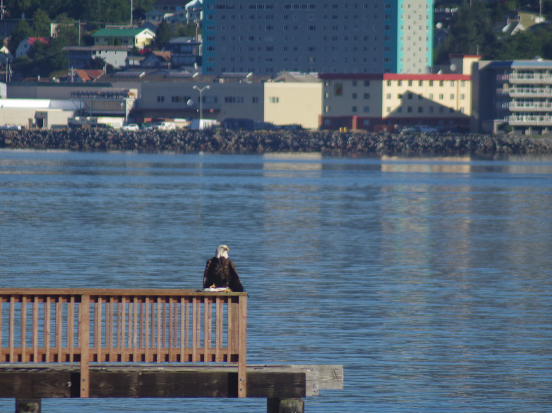 Explore Alaska Charters, LLC-凯奇坎必去景点