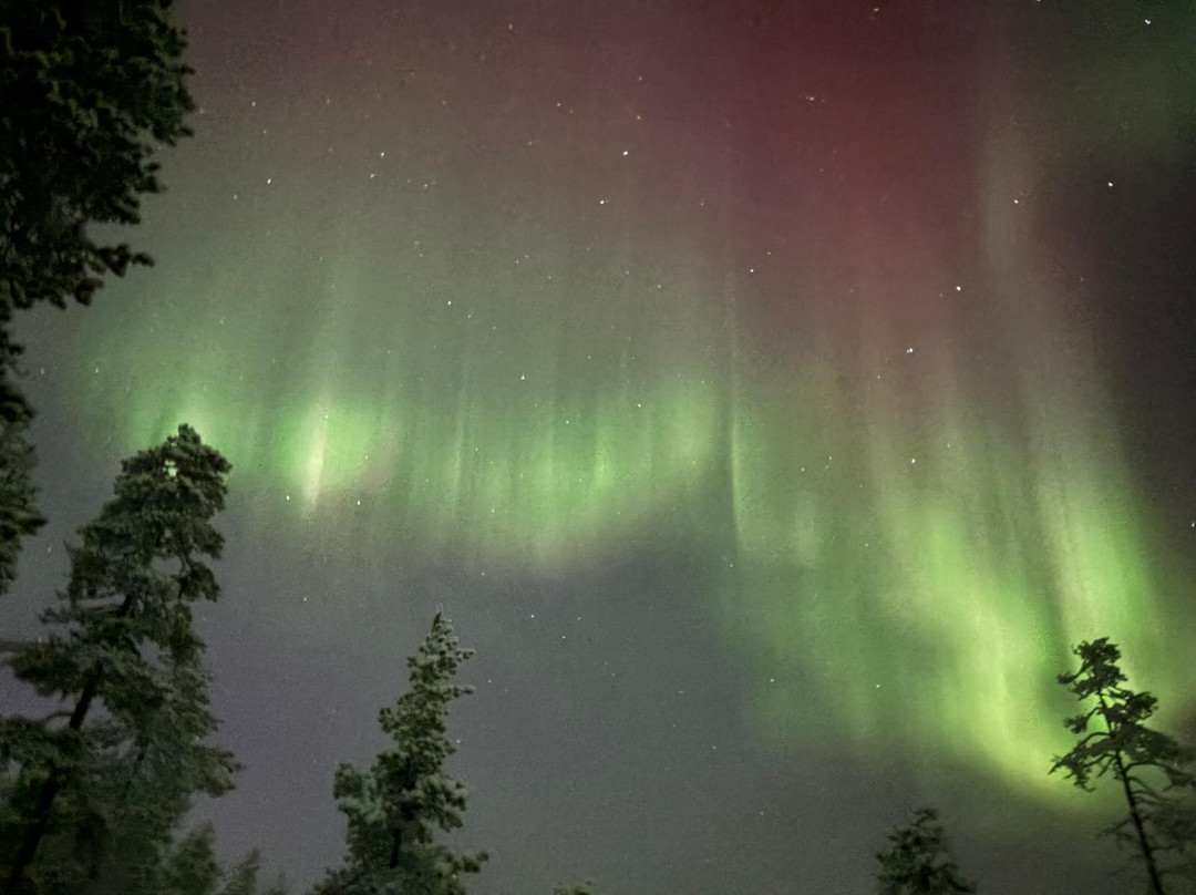 Safartica Ylläs-Yllasjarvi必去景点