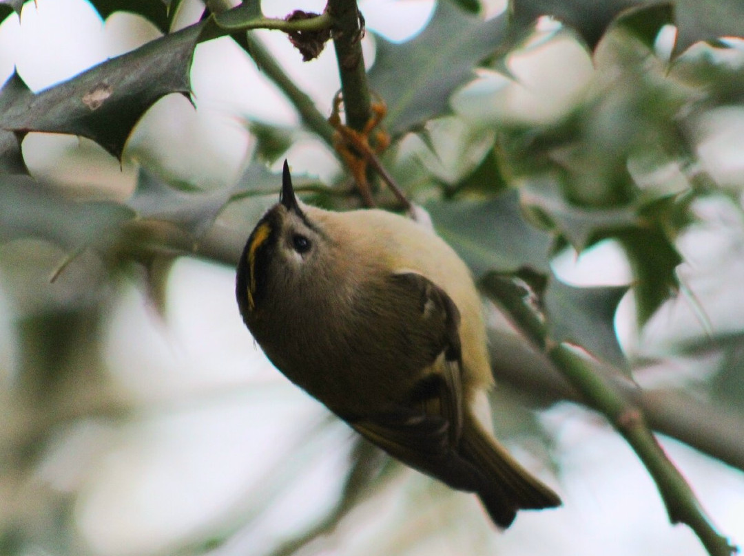 安格尔西修道院-Lode必去景点