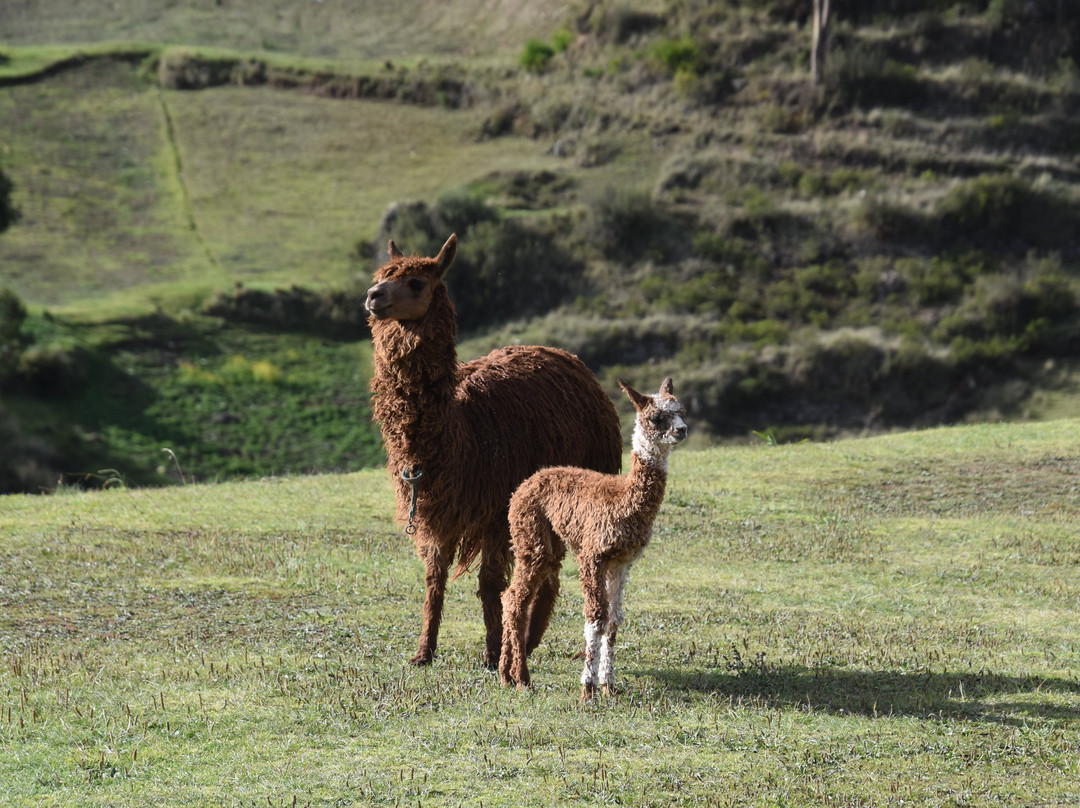 AB Expeditions-库斯科必去景点