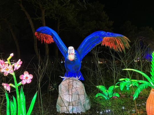 Beekse Bergen - Light Safari-希尔法伦贝克必去景点