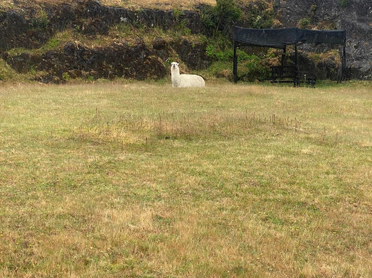Casa del Castellano-Niebla必去景点