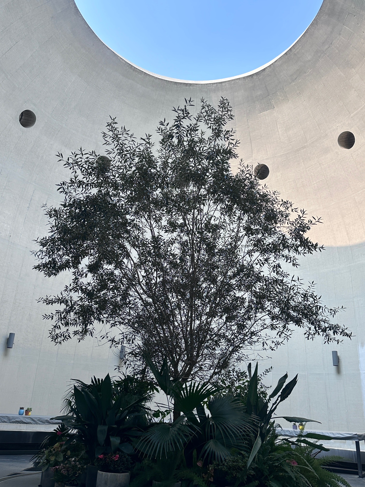 Gallery 3