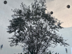 Gallery 3