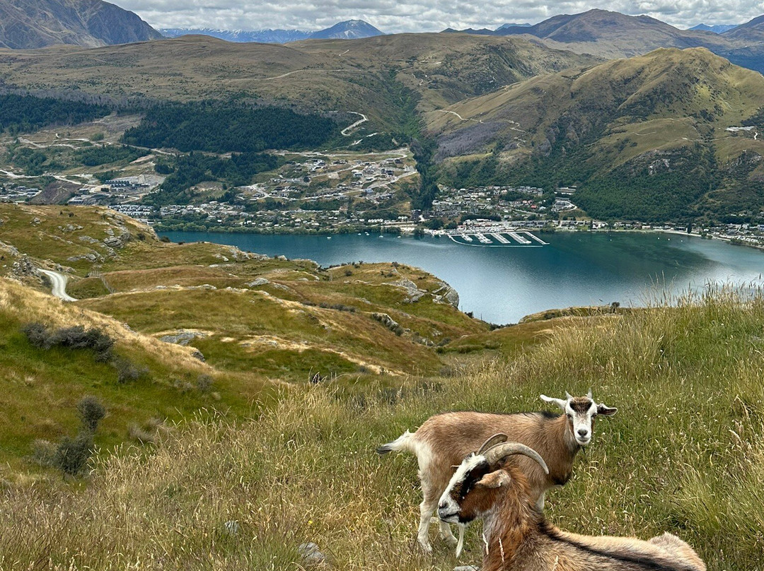 Deer Park Heights-皇后镇必去景点