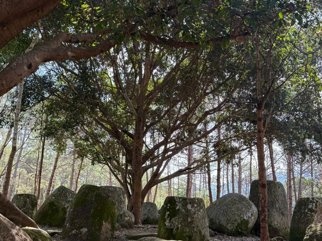 Tey Lassada. Professional Tour guide and driver-Phonsavan必去景点