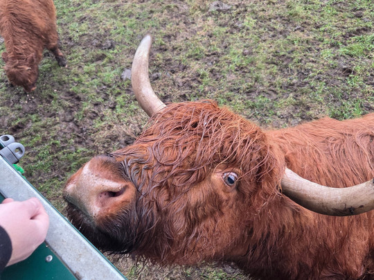 Dumble Farm-比弗利必去景点