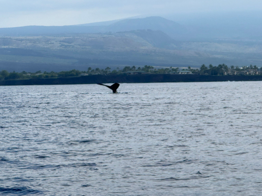 Adventure X Boat Tours-卡慕也拉必去景点