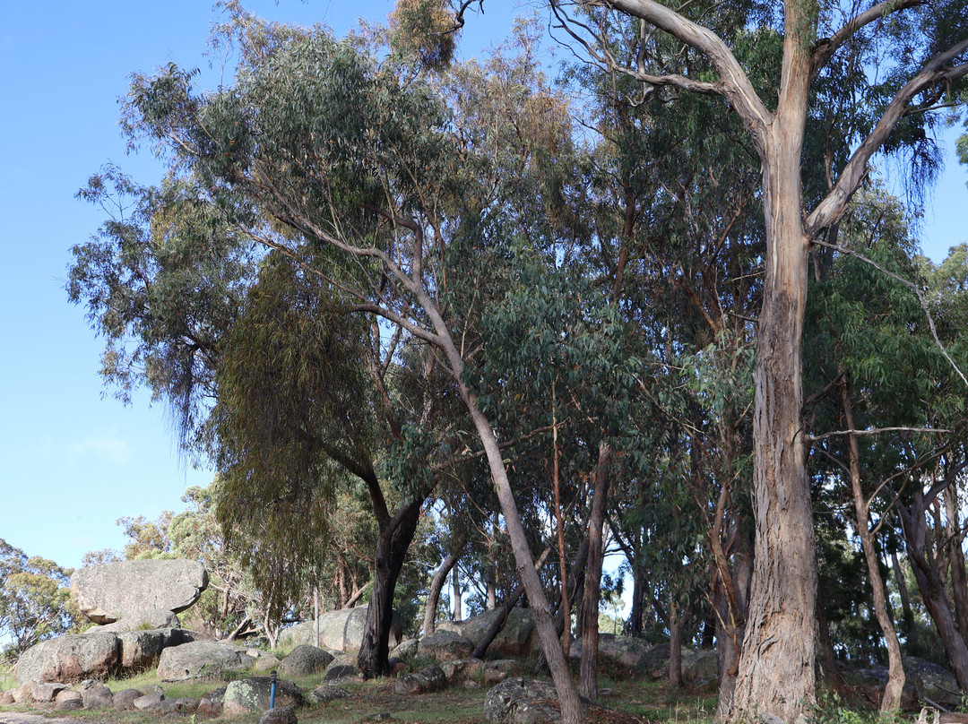 Girraween Country Inn主图