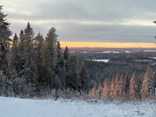 Seagull Travel-维尔纽斯必去景点