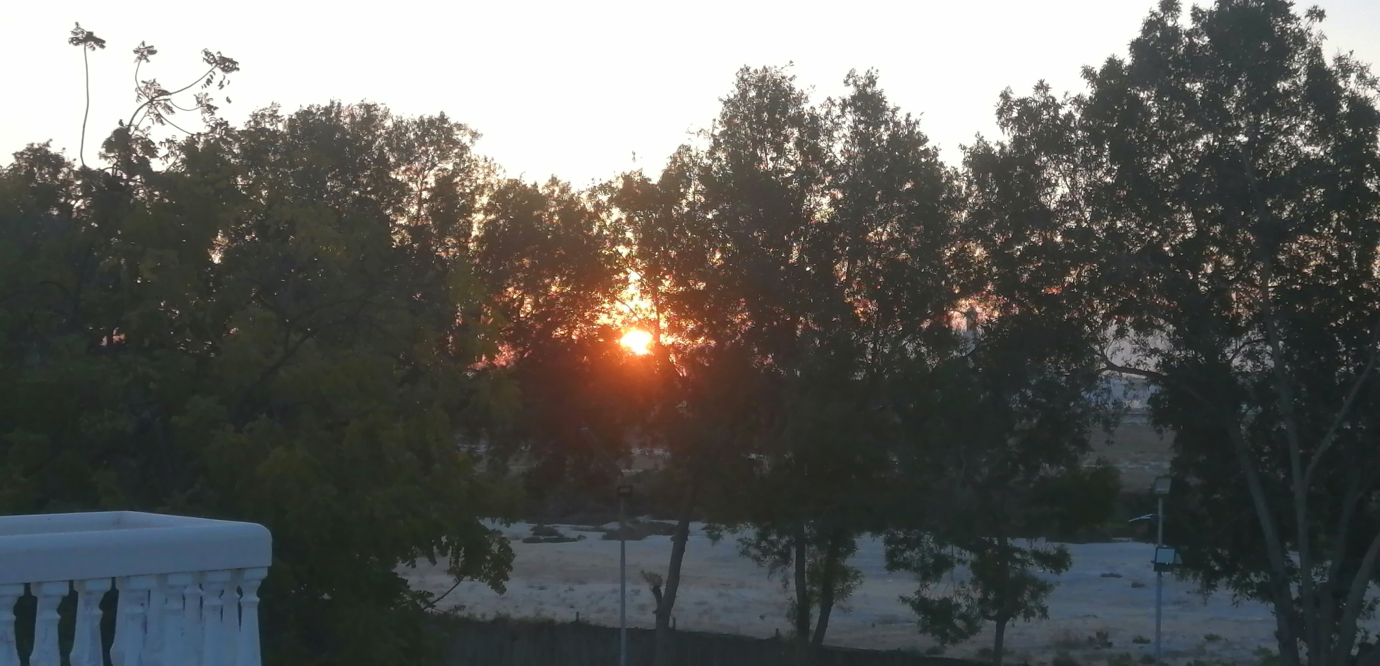 梭鱼海滩度假村-官方