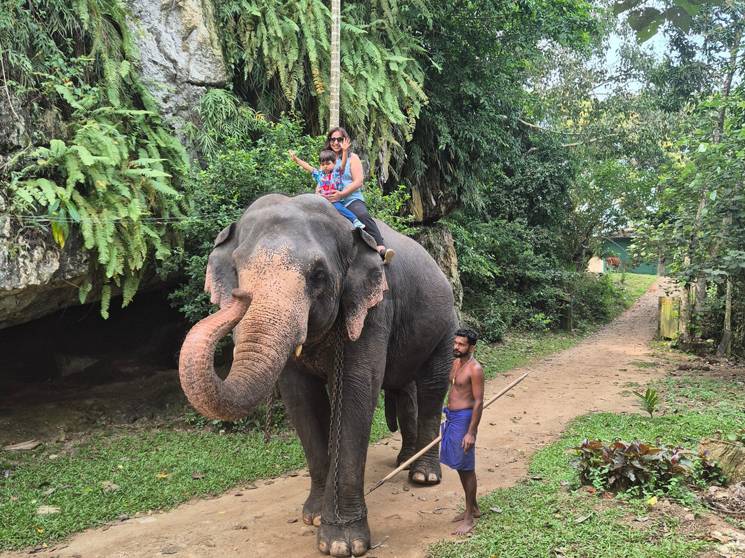 Krish Elite Travels-瓦勒迦玛必去景点