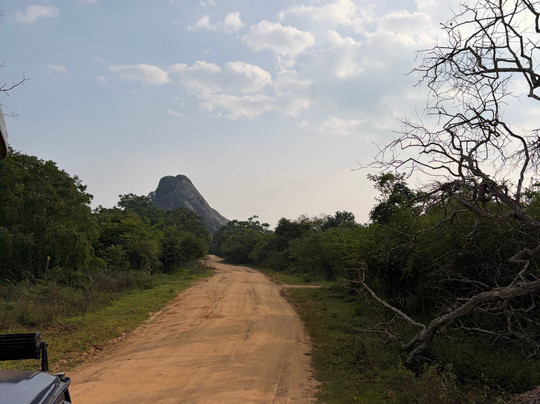 Freedom Safari Jeep Tours-蒂瑟默哈拉默必去景点