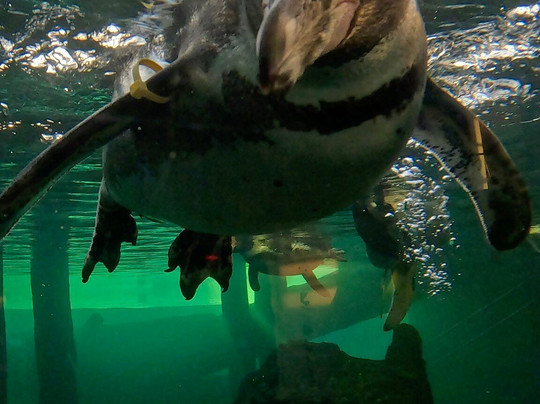 Spreewelten Bad-吕贝瑙必去景点