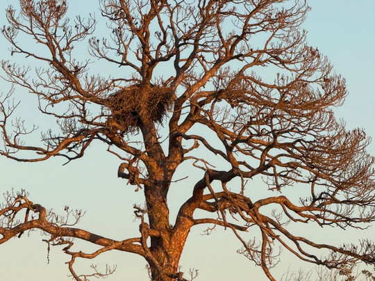 Key Sailing-萨拉索塔必去景点