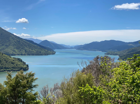 Cullen Point Tracks-布伦海姆必去景点