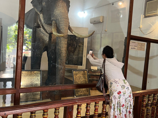 Travel with Wijaya-科伦坡必去景点