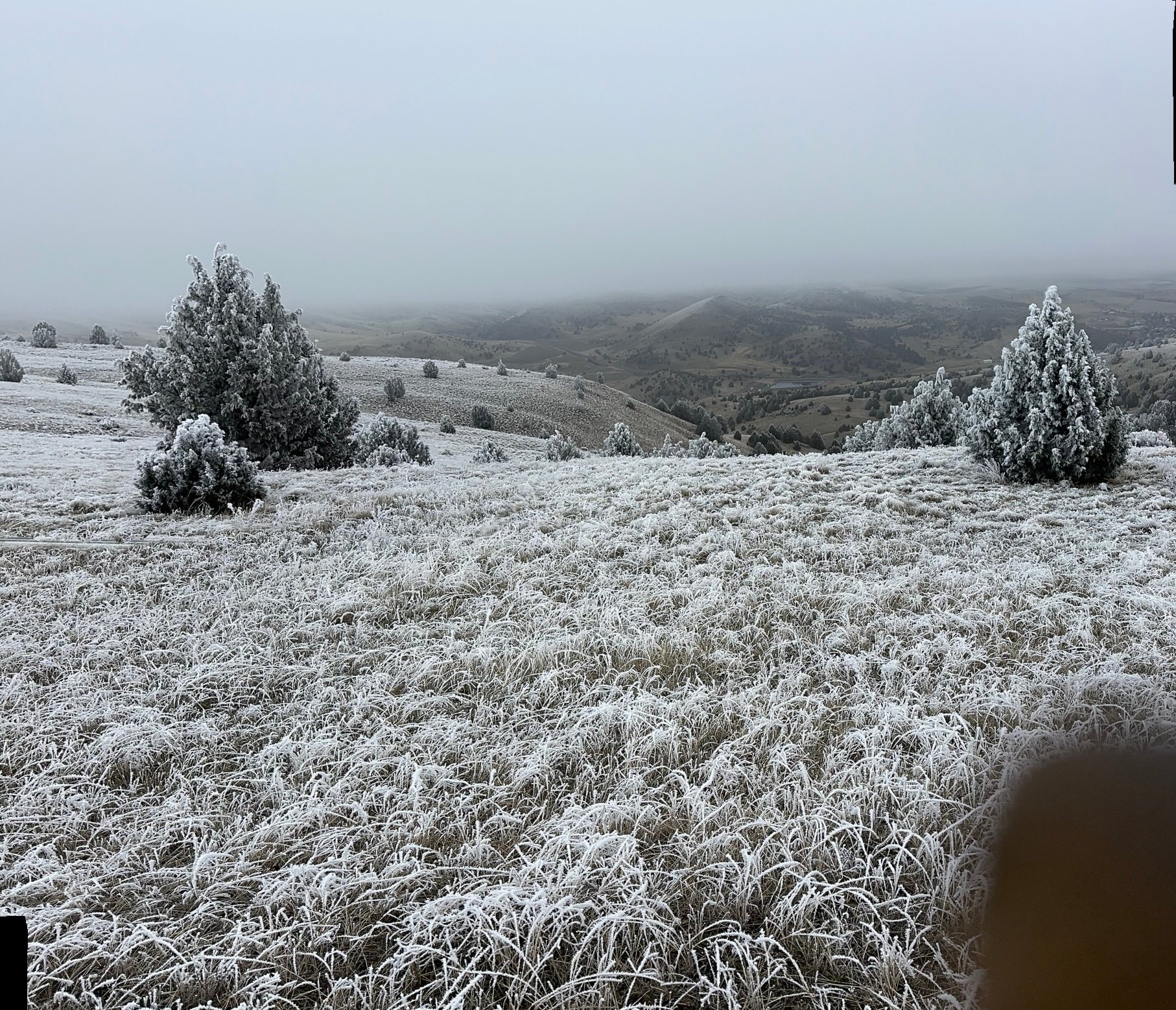 Wilson Ranches Retreat Bed & Breakfast-官方