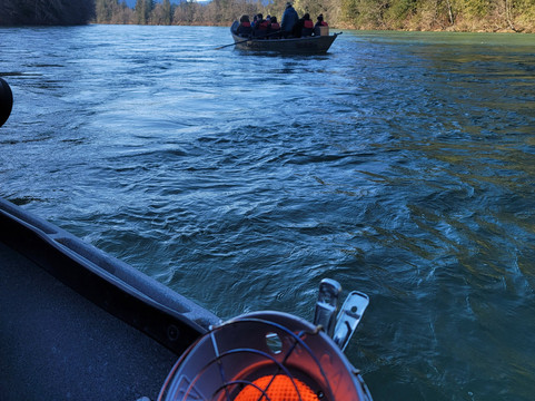Skagit River Eagle Tours-Rockport必去景点