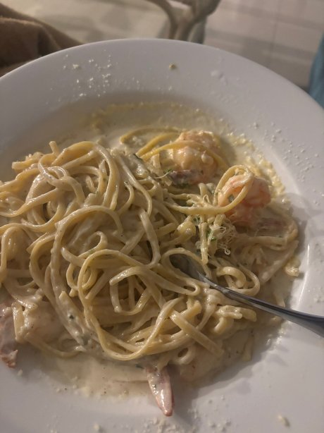 海洋礁石游艇俱乐部及度假村-官方