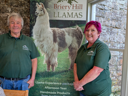 Briery Hill Llamas-Kilcot必去景点