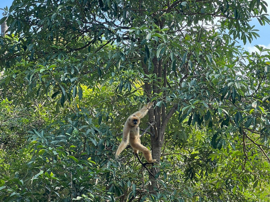 珍珠王国野生动物园-富国岛必去景点