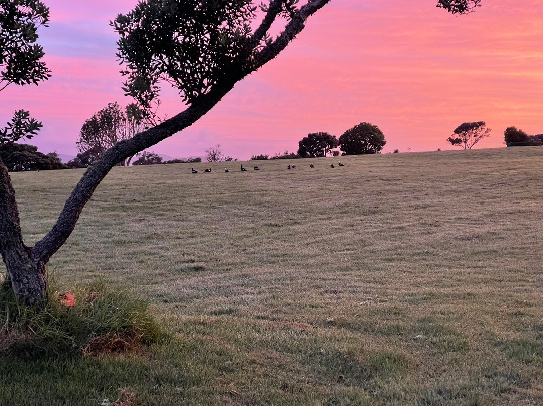 Omana Regional Park-Maraetai Bay必去景点