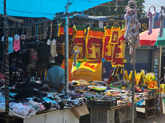 Scenic Ceylon Tours-Polgahawela必去景点