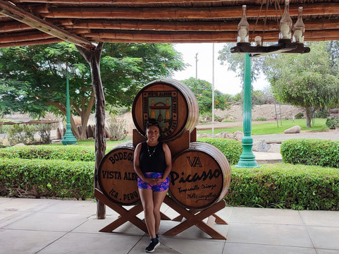 Bodegas Vista Alegre-伊卡必去景点