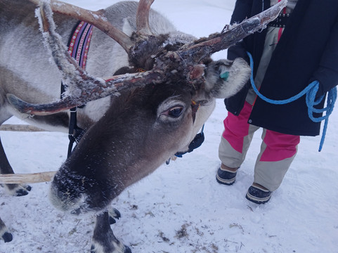 Ruka Adventures-库萨莫必去景点