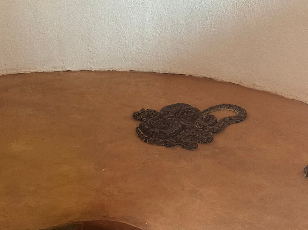 Temple des Pythons-Ouidah必去景点