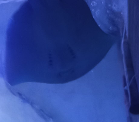 Aqua Vega Aquarium-安卡拉必去景点