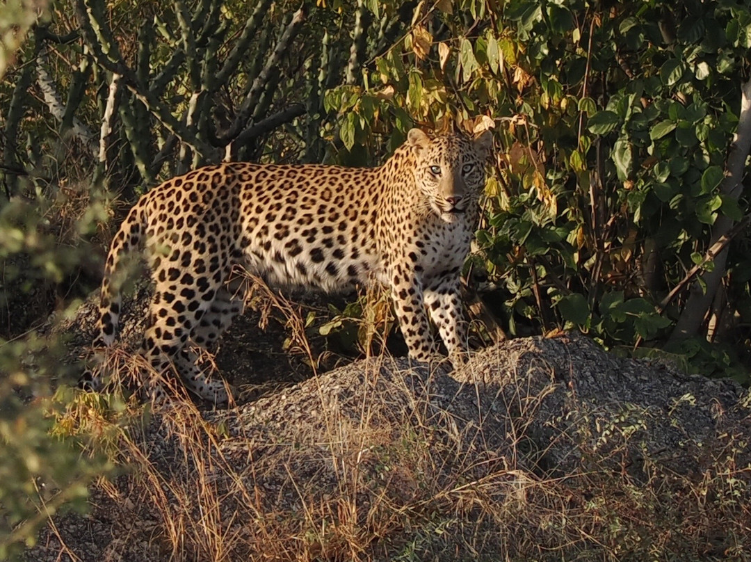 Unseen India Tours & Activities-斋蒲尔必去景点