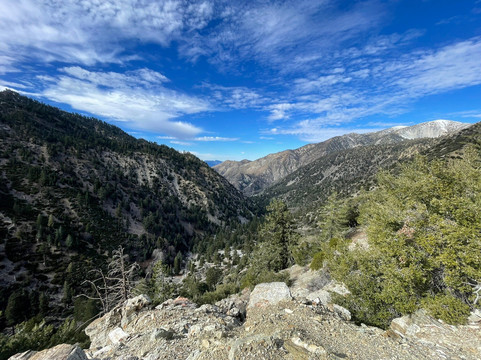 Ice House Canyon Trail-Mount Baldy必去景点