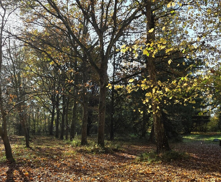 Thornham Walks-Eye必去景点