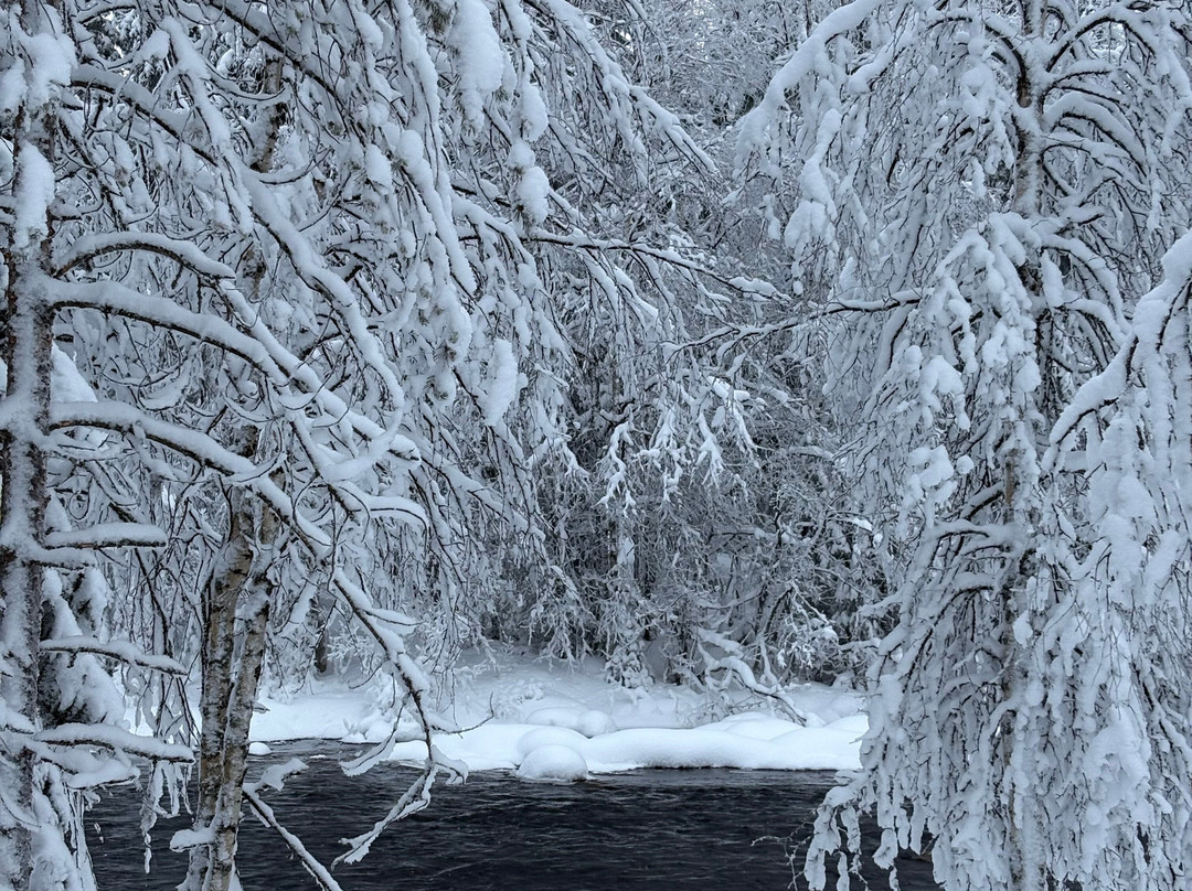 Wolf Trail-罗瓦涅米必去景点