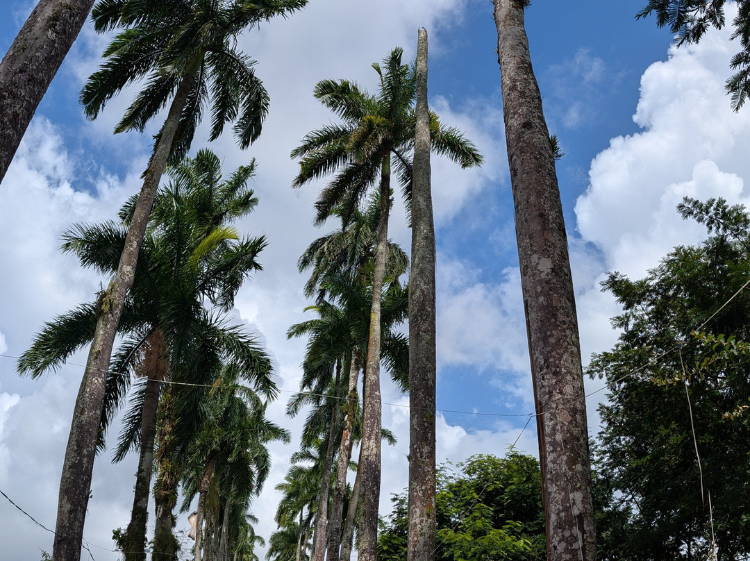 World Evasion-圣何塞必去景点