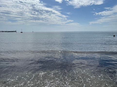 Kennon Cove Beach-弗林德斯必去景点