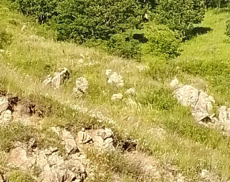 Khndzoresk Swinging Bridge-Syunik Province必去景点