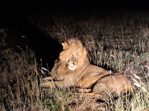 Lumo Community Wildlife Conservancy-Mwatate必去景点