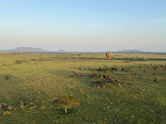 Tanzania Specialist-阿鲁沙必去景点
